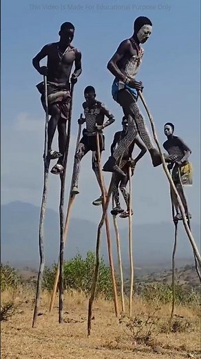 Why Do Some African Tribes Walk On Sticks 😲 #shorts #tribes #africa