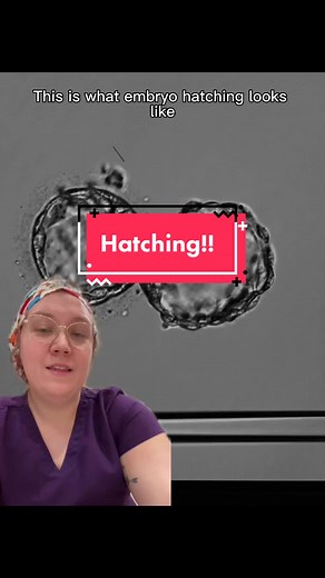 Understanding Embryo Hatching: Natural vs. Assisted Methods
