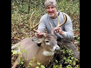 Mario is back! Beast vs Beast