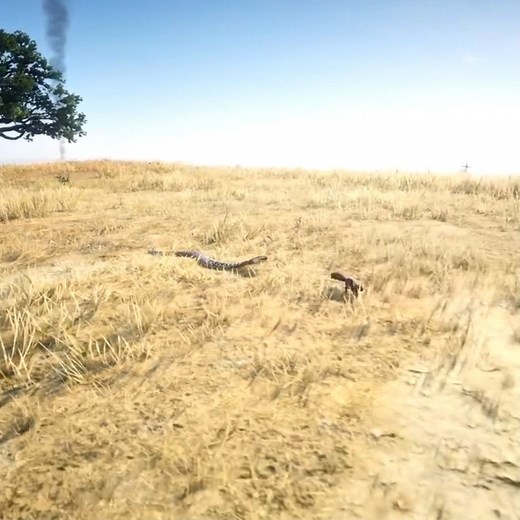 100K views · 1.2K reactions | squirrel Impossible escape from Snake | Kesari Gaming | Facebook