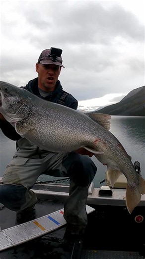 Giant Lake Trout Caught in the Yukon | Full Video on YouTube