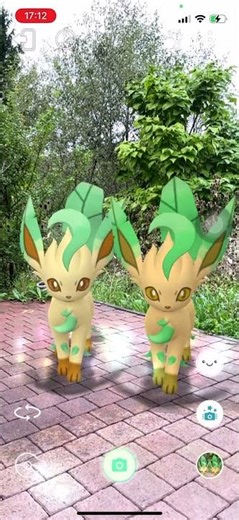Pokemon GO - Leafeon and Shiny Leafeon knowing each other