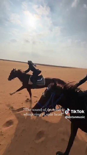 Experience Amazing Moments with Cool Videos