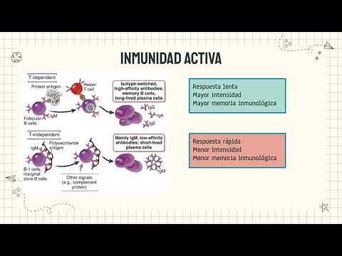 Inmunidad activa y pasiva | Vacunas y BCG | Esquema de vacunación