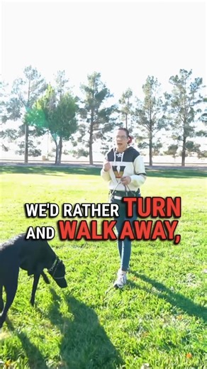 Bark K9 Rehabilitation LLC on Instagram: "Hands off! Stop accidentally giving your dog what it’s looking for...you’re attention, when it’s asking in an inappropriate way. My motto with reactive and tough dogs and those with low impulse control..is no looky, no touchy, no talky when we meet. Why? Because if I even accidentally reward a negative behavior then I’m the problem, not my dog. Dogs have been domesticated and designed to try to connect to us and try to get our attention in any way, shape