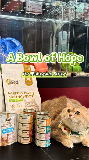 2.7K reactions · 49 shares |  퐏퐞퐭 퐋퐨퐯퐞퐫퐬 퐂퐞퐧퐭퐫퐞 퐏퐞퐭 퐅퐨퐨퐝 퐃퐫퐢퐯퐞 ퟐퟎퟐퟓ...