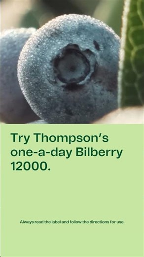 Thompson's One-A-Day Bilberry 12000