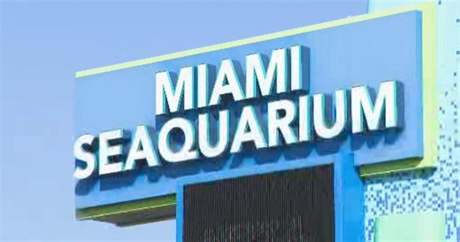 Miami Seaquarium set to close