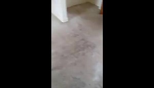 Carpet cleaning at its best | Premier Cleaning Services | Facebook