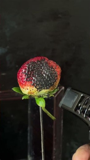 creative lighter vs strawberry ##lighter##asmr##fyp