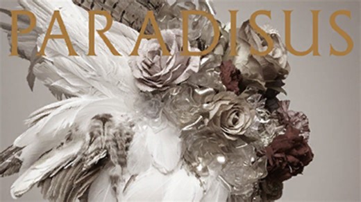 Paradisus-Paradoxum 四星ap