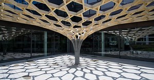 Future Tree: Robotic timber meets digital concrete