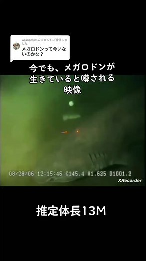 メガロドン生きている証拠！深海の衝撃映像