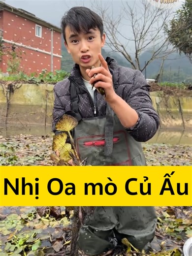 Hôm nay Nhị Oa đi kiếm 1 thứ mà ở vùng Tứ Xuyên ít người biết, đó là thứ gì nhỉ? Mọi người cùng xem nhé #NhịOa #fypシ゚ #xuhuong #virals #amthuc #food #vlog #anuong #mukbang