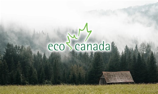 Green Talent Connect | ECO Canada