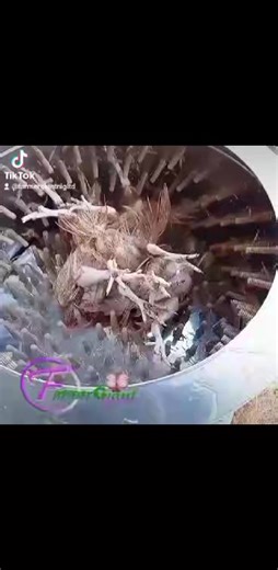 Medium defeathing machine, 5_7birds capacity at once. power rate 2.2kva contact : 09094538737 | Farmergiant Nigeria Limited