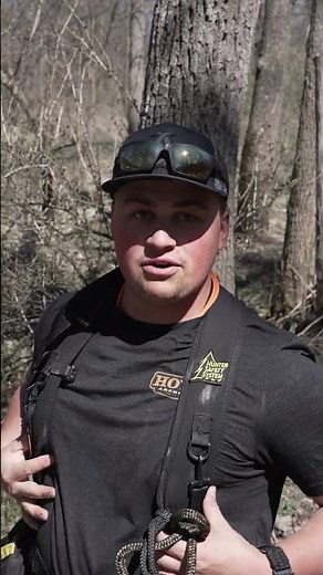 Use a proper harness when setting up your tree stands!