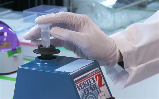 单细胞实验操作 — BD Rhapsody™ Single-Cell Analysis System Post PCR1 Purification