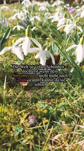 Dein System funktioniert genauso, wie es dich früher schützen musste.