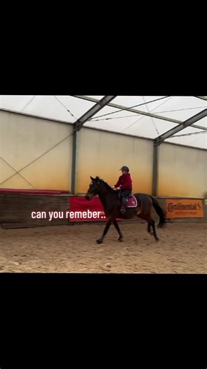 #horse #aleksaacz #dc #dc #fyp