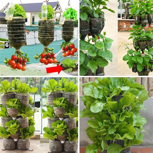 284K views · 4.2K reactions | Perfect Garden Ideas for Balconies and Small Spaces | DIY Balcony Garden | Facebook