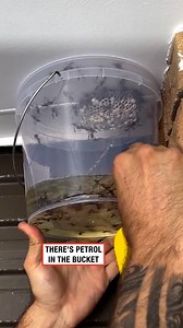 22M views · 108K reactions | How to remove a wasp nest  | LADbible | Facebook