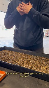 15K views · 148 reactions |  We know that shipping bees might sound...