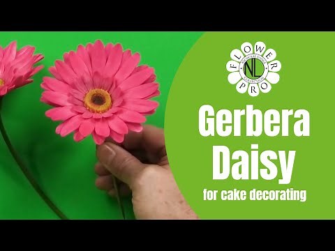 Flower Pro Gerbera Daisy For Cake Decorating