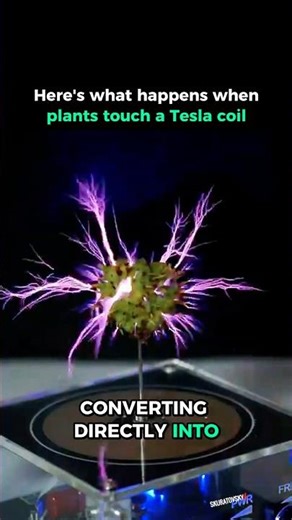 What Happens When You Let a Tesla Coil Touch Plants