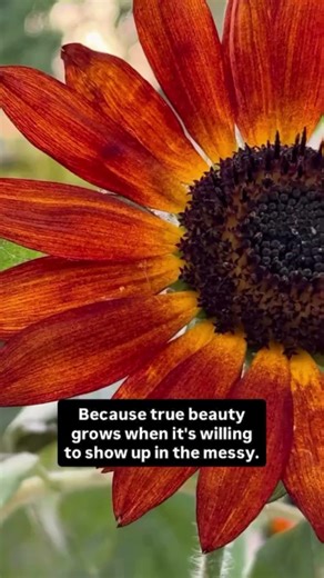 Learn how to be effective in difficult communications