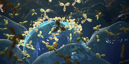 What Are Monoclonal Antibodies? Doctors Explain the Popular COVID-19 Treatment