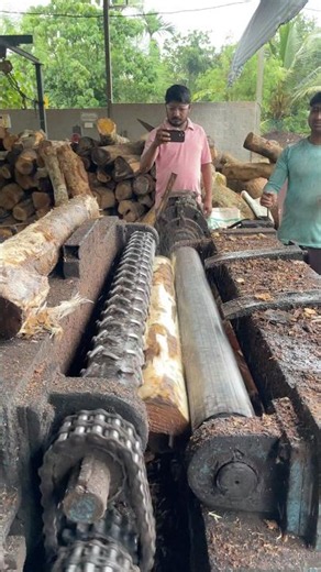 Plywood peeling wooden working factory 🌲|#bridgesaw #sawmill #wood