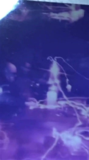 AMAZING Ghost Evidence! What Do You See? #shorts