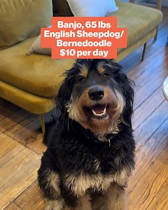 115K views | Fresh food has incredible benefits for dogs, both inside and out. Get 50% off your first box and experience them with your dog! | The Farmer's Dog | Facebook