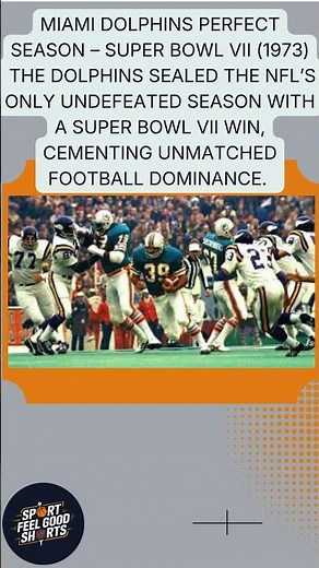 What Team Had the NFL's Only Perfect Season?