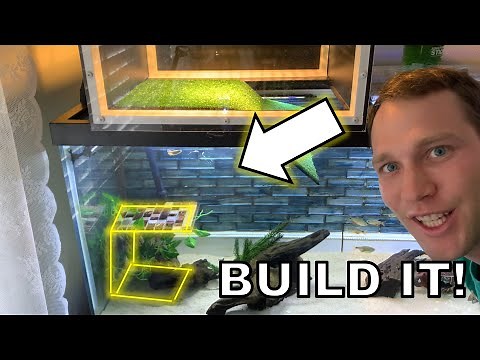 DIY Turtle Tank Shelf and Cave - Easy and Your Turtle Will Love It!