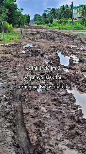 Jalan Jalur 16 dan Jembatan 3: Keindahan di Tengah Kerusakan