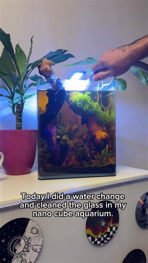 Essential Guide to Aquarium Water Change Techniques