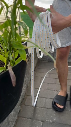 A simple light trick to make a yard looks luxurious
