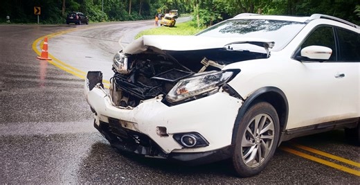 Man Hit By Car While Rescuing Giant Lizard In Terrifying Video