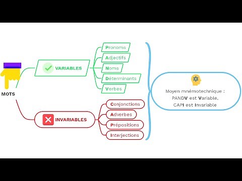 Distinguer nature et fonction grammaticale
