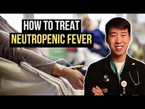 How to Treat Neutropenic Fever (High Yield Guide)