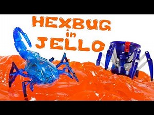 Oddly Satisfying HEXBUG in JELLO