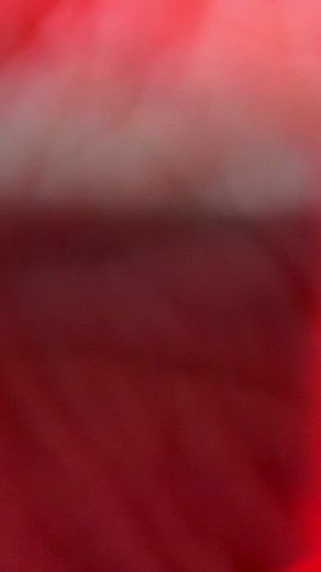 ASMR Dont Blink Challenege 😳 #asmr #asmrdontblink #asmrblink #asmrlights #asmrlighttriggers #asmrvideo #asmrshort #asmrreel #asmrtiktok #asmrsounds #asmreyeexam #asmrfocus