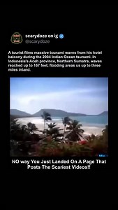 446 reactions · 11 shares | On December 26, 2004, a tourist in...