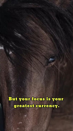 Why Most People Never Succeed: The Focus Gap 🎯 #wealth #wealth #motivation #success #mindset