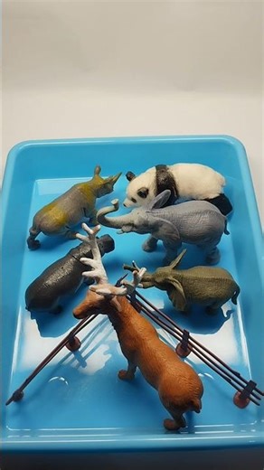 Mini zoo animal toys ASMR #shorts #animals #toys