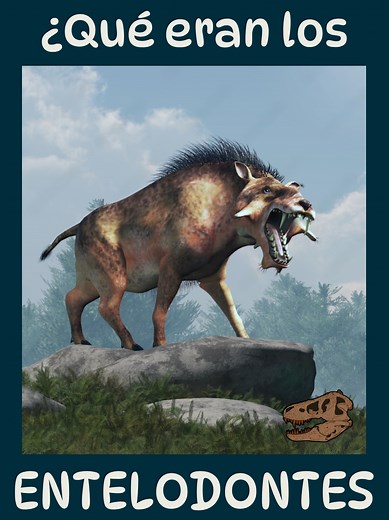 Entelodontes: ¿Cerdos del infierno o parientes de hipopótamos?