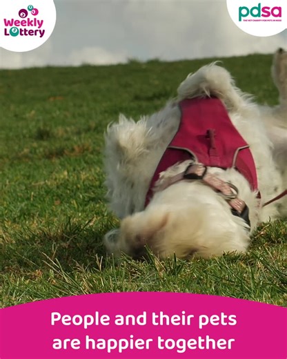 Play today and you could win amazing cash prizes every week, while helping PDSA care for sick and injured pets. T&Cs apply. 18 BeGambleAware.org | PDSA