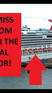 Don't Miss This Tour Of The Carnival Splendor Handicap Accessible Room #7226!